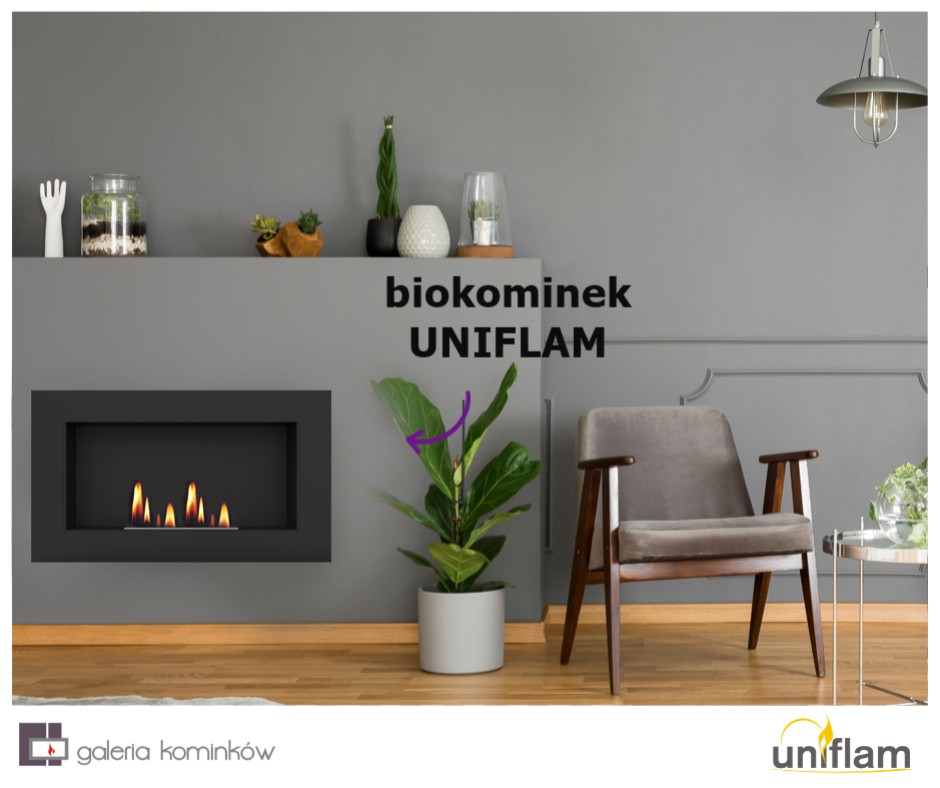 Co trzeba wiedzieć przed zakupem biokominka?