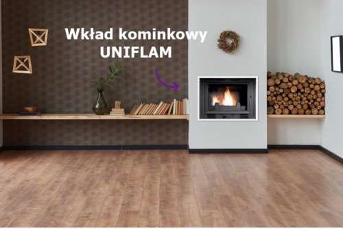 Dlaczego warto mieć kominek w domu?